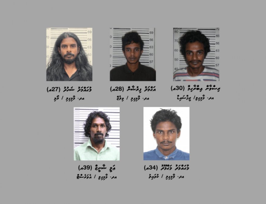 5 މީހުން ހައްޔަރުކޮށް, 9 ގްރާމްގެ މަސްތުވާތަކެތި އަތުލައިގެންފި