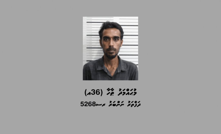 ވިލިނގިލިން ކޮލަމާފުއްޓަށް މަސްތުވާތަކެތި އެތެރެކުރަން އުޅުނު މީހަކު ހައްޔަރުކޮށްފި