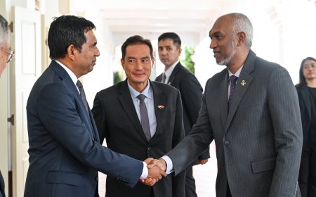 "ޕްރޮޖެކްޓް ސޯލަރ ސިޓީ" އަކީ ދިވެހިރާއްޖޭގައި ޤާއިމުކުރާ ފުރަތަމަ ސްޕެޝަލް އިކޮނޮމިކް ޒޯނުގެ ގޮތުގައި ރައީސުލްޖުމްހޫރިއްޔާ ކަނޑައަޅުއްވައިފި