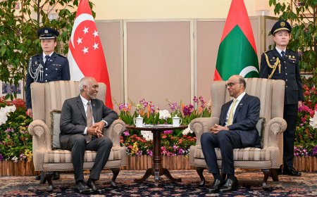 ރައީސުލްޖުމްހޫރިއްޔާގެ ދެކަނބަލުން ސިންގަޕޫރަށް ކުރެއްވި ދަތުރުފުޅު ނިންމަވާލައްވައިފި