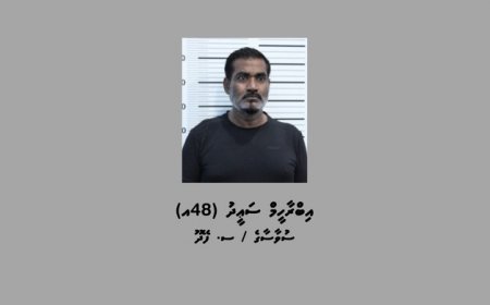 ރަހީނުކޮށްފައި ހުރި ދިވެއްސެއްވެސް ސަލާމަތްކޮށްފި