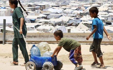 ޣައްޒާ ހަނގުރާމަ މެދުކަނޑާލުމާގުޅޭގޮތުން ޓްރަމްޕްގެ އާ ހުށަހެޅުމުގައި އޮތީ ކީކޭ!