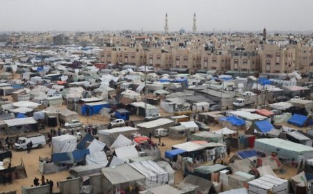 އިޒްރާއިލްގެ ޕްލޭނަކީ ޣައްޒާ 'ކޮންސެންޓްރޭޝަން ކޭމްޕް' އަކަށް ހެދުންކަމަށް އިޒްރާއިލްގެ ނޫސްވެރިއަކު ސިފަކޮށްފި