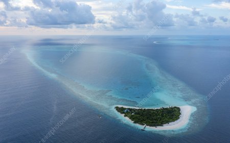 ރިސޯރޓަކުން ކެނޯއެއްގައި ނިކުއިން ޒުވާނަކުވެސް ގެއްލިގެން ހޯދަނީ