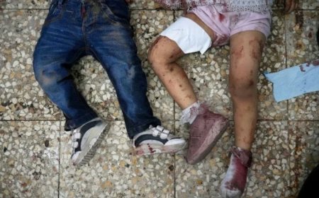 އަހަރެމެން ބަލަންތިބާ ކުޑަކުދިންގެ ގަބުރުސްތާނަކަށް ޣައްޒާ ހަދައިފި: އަންރްވާގެ އިސްވެރިޔާ