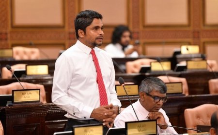 ރާއްޖޭގެ ފަންނުވެރިންގެ ޓްރޭޑްމާކްތައް ހިމާޔަތްކުރާ ބިލެއް މަޖިލީހަށް ފުރަތަމަ ފަހަރަށް ހުށަހަޅައިފި