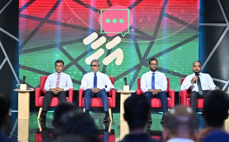 މަދުވެގެން ހަތަރު ސްކްރީން ހިމެނޭ ސިނަމާއެއް އަޅާ, ސިނަމާ މައްސަލަ ހައްލުކުރާނަން- ވަޒީރު