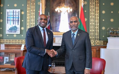 އިނގިރޭސިވިލާތުގެ ހާރިޖީ ވަޒީރު ޑޭވިޑް ލެމީ ރައީސް މުއިއްޒުގެ އާ ބައްދަލުކުރައްވައިފި
