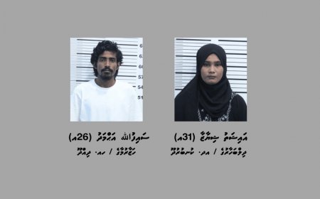 މަސްތުވާތަކެއްޗާއެކު އަންހެން ފުލުހެއް ހައްޔަރުކޮށްފި