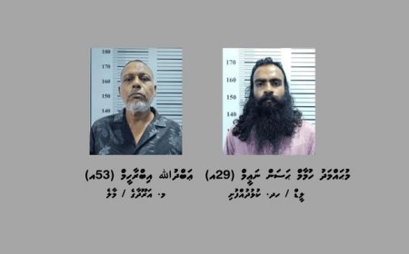 ކުޅުދުއްފުށްޓަށް މަސްތުވާތަކެތި އެތެރެކުރަން އުޅުނު ދެމީހަކު ހައްޔަރުކޮށްފި