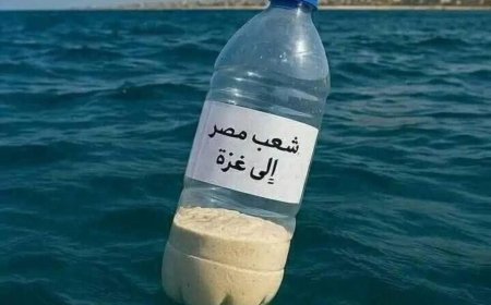 ޣައްޒާއަށް ފޯރާނެ ކަމުގެ އުންމީދުގައި މިޞްރުގެ ޒުވާނުން ފުޅީގައި ކާބޯތަކެތީ ކަނޑާ ހަވާލުކުރަނީ