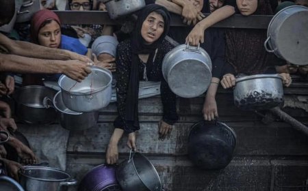 ނިއުޓްރިޝަން މަދުވެ 7 ދުވަހުގެ ތުއްތު ކުއްޖެއްގެ މަރާއެކު ހައިހޫނުކަމުގައި ޣައްޒާއިން 126 މަރު