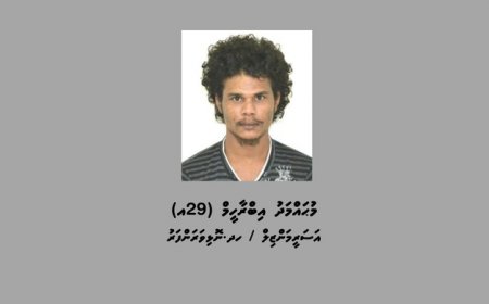 ލ. މާވަށު މަރާމާރީ: ހަމަލާދޭން ބޭނުންކުރި ވަޅި ފުލުހުން ހޯދައިފި