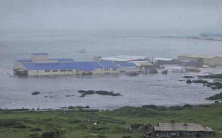 ރަޝިއާއަށް އައި ބާރުގަދަ ބިންހެލުމަކާއެކު ޖަޕާން ހިމެނޭހެން ބައެއް ސަރަހައްދުތަކަަށް ސުނާމީ އަރަންފަށައިފި