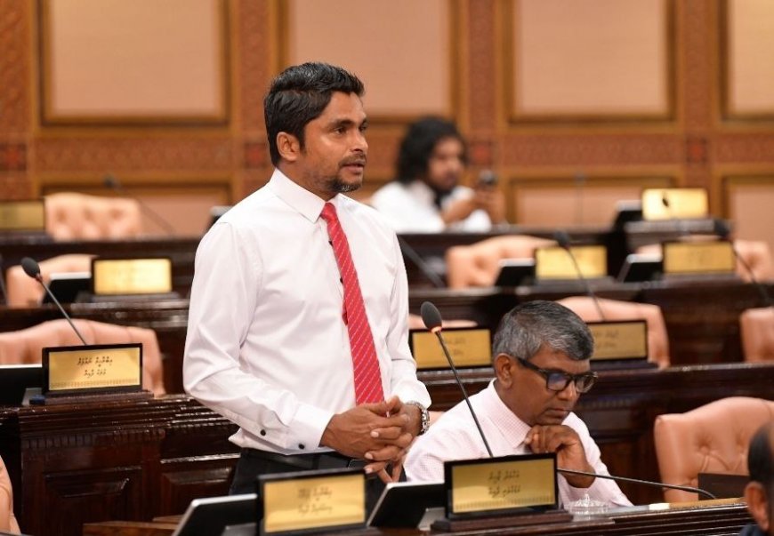 ރާއްޖޭގެ ފަންނުވެރިންގެ ޓްރޭޑްމާކްތައް ހިމާޔަތްކުރާ ބިލެއް މަޖިލީހަށް ފުރަތަމަ ފަހަރަށް ހުށަހަޅައިފި