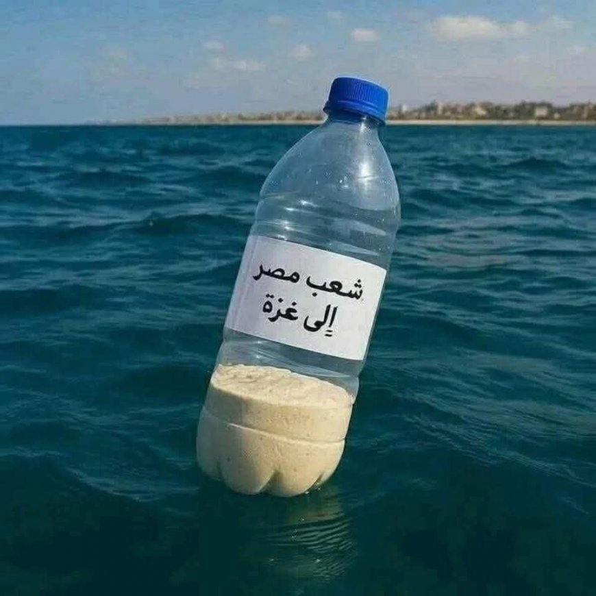ޣައްޒާއަށް ފޯރާނެ ކަމުގެ އުންމީދުގައި މިޞްރުގެ ޒުވާނުން ފުޅީގައި ކާބޯތަކެތީ ކަނޑާ ހަވާލުކުރަނީ