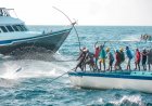 މިފްކޯއިން މަސްވެރިންގެ އަތުން މަސް ގަންނަ އަގު މިއަދުން ފެށިގެން 18.50 ރުފިޔާއަށް މަތިކޮށްފި