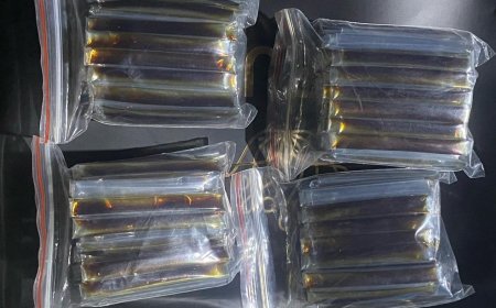 ކަނޑު ބޯޓަކުން ލ. މާމެންދޫއަށް ގެންދިޔަ ގިނަ އަދަދެއްގެ މަސްތުވާތަކެތި އަތުލައިގަނެފި