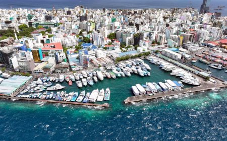 ކުރަނީ ތަރުތީބުކޮށް އިންތިޒާމް ކުރުމުގެ މަސައްކަތް, އިތުރު ފީއެއް ނުނަގަން- އެމްޕީއެލް