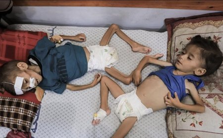 ހައިހޫނުކަމުގައި ޣައްޒާއިން މިހާތަނަށް 169 މަރު, 93 ކުޑަކުދިން ހިމެނޭ