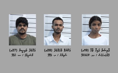 މަސްތުވާތަކެތީގެ މައްސަލައެއްގައި ހައްޔަރުކުރި 10 މީހުންގެ ތެރެއިން 7 މީހުން ކޯޓުން ދޫކޮށްލައިފި