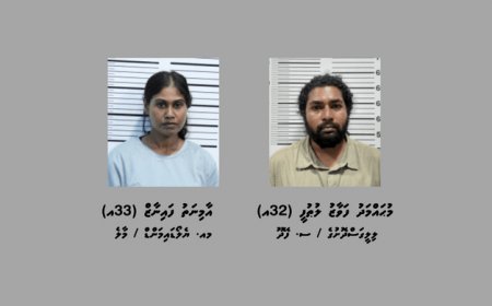 ބްލެކްމެއިލްކޮށްގެން ތިން ލައްކައަށްވުރެ ގިނަ ރުފިޔާ ހޯދި މައްސަލައަކާއި މަސްތުވާތަކެތީގެ މައްސަލައެއްގައި އަންހެނަކާއި ފިރިހެނަކު ހައްޔަރުކޮށްފި