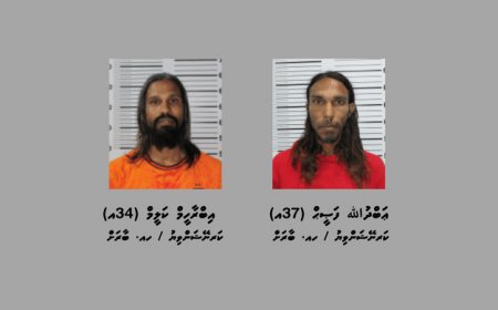 މަސްތުވާތަކެއްޗާއެކު ބާރަށުން ދެ މީހަކު ހައްޔަރުކޮށްފި
