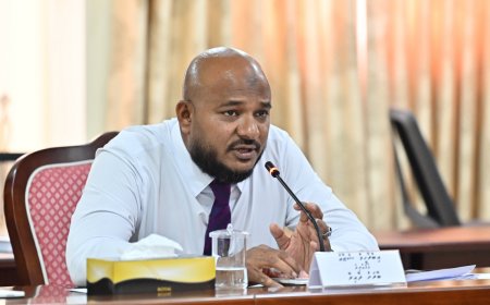 މެންބަރު ޝުޖާއު އެސްއޯއީ ކޮމިޓީން ވެސް ވަކިކޮށްފި