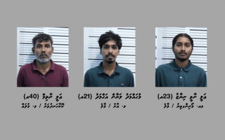 މަސްތުވާތަކެތީގެ ވިޔަފާރި ކުރަމުންދިޔަ 4 މީހަކު ހައްޔަރުކޮށްފި