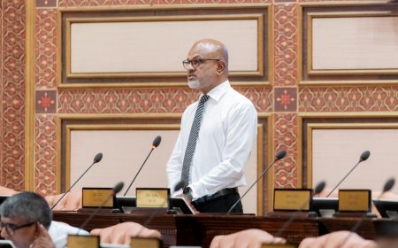 މިހާރު ފެންނަނީ މުއައްސަސާތަކުގެ އިސްވެރިން ނުހައްގު މުއްސަނދިކަން ހޯދާ އެމުއްސަނދިކަން ފޮރުވާތަން- ނާޒިމް