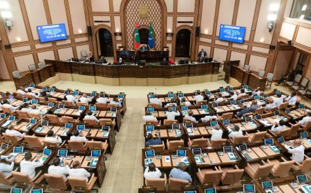 ތެލެސީމިއާ ކޮންޓްރޯލް ކުރުމުގެ ބިލް ތަސްދީޤު ނުކުރައްވާ އަނބުރާ ފޮނުވާލައްވައިފި