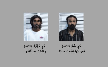 މަސްތުވާތަކެއްޗާ އެކު މާލެއިން ދެ މީހަކު ހައްޔަރުކޮށްފި