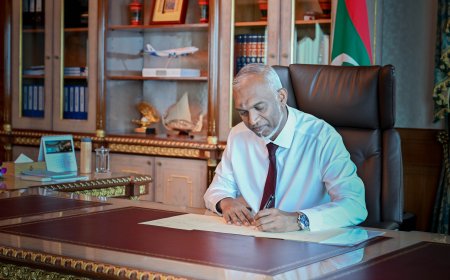 ލާމަރުކަޒީ ޤާނޫނަށް ގެނައި އިސްލާހުތަކާއެކު ބިލް ތަސްދީޤު ކުރައްވައިފި