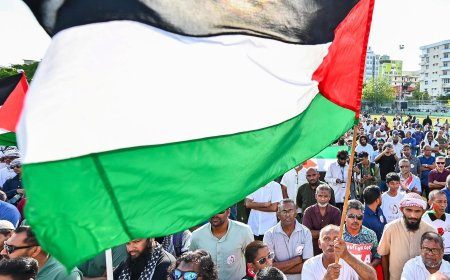 އިޒުރޭލްގެ އަނިޔާވެރިކަމާ ދެކޮޅަށް ރާއްޖޭގެ އެކިކަންކޮޅުތަކުގައި އެތައް ހާސް ބަޔަކު އެއްވެއްޖެ