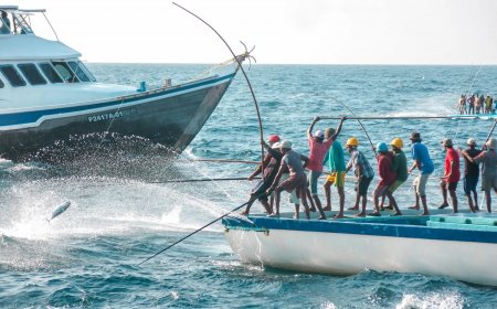 25 މަސްވެރިއަކަށް ލޯނު ދޫކޮށްފި