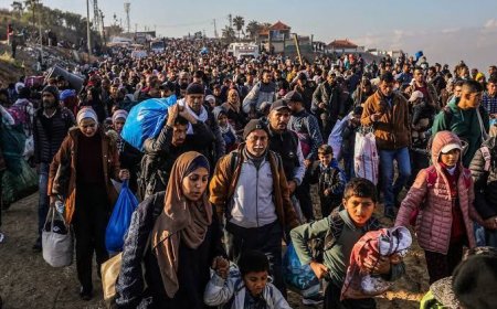 ޣައްޒާސިޓީ ހިފުމަށް ފަލަޞްޠީނުގެ ވިއްސިހާލި ވެފައިވާ ރައްޔިތުން ދެކުނަށް ޖައްސަން ފަށައިފި