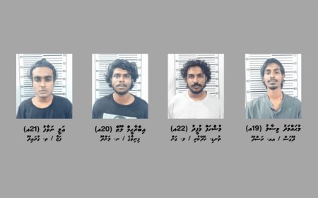 މަސްތުވާތަކެތީގެ ދެ އޮޕަރޭޝަނެއްގައި ފ.ނިލަންދޫން 9 މީހަކު ހައްޔަރުކޮށްފި