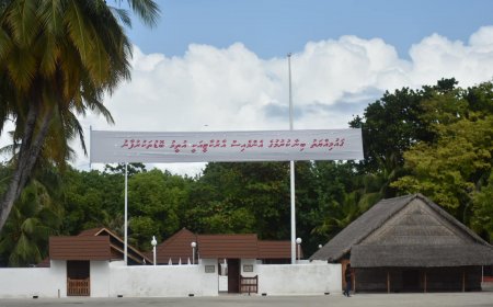 ޤައުމީ ދުވަހު ޤައުމިއްޔަތަށް ޚިދުމަތް ކުރުމުގެ ޝަރަފް އުތީމް ރައްޔިތުންނަށް އަރުވަން ނިންމައިފި