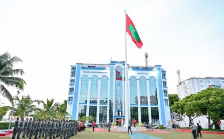 ޤައުމީ ދިދަ ނެގުމުން ޤައުމީ ދުވަހުގެ ހަރަކާތްތައް ފަށައިފި