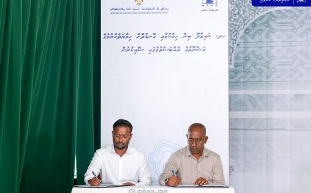 ނައިވާދޫ ބިން ހިއްކަން އެމްޓީސީސީއާ ހަވާލުކޮށްފި