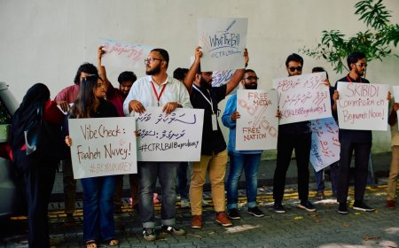 ނޫސްވެރިން ގޮވާލީ ބިލް އަނބުރާ ގެންދަން, މަޖިލިހުން ބިލް ބަލައިގަނެ ކޮމިޓީއަށް
