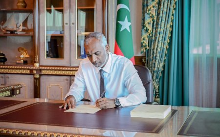 އިންޝުއަރެންސާއި ބެހޭ ބިލާއި ޤައުމީ ޕޭމަންޓް ސިސްޓަމަށް އިސްލާހު ގެނައުމުގެ ބިލް ތަސްދީޤު ކުރައްވައިފި