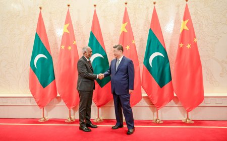 ރައީސް މުއިއްޒު ޗައިނާގެ ރައީސްއާ ބައްދަލުކުރައްވައިފި