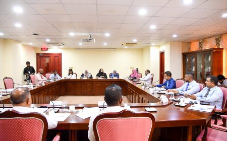 ބްރޯޑްކޮމް އާއި އެމްއެމްސީން ވެސް މަޖިލިހުގެ ކޮމިޓީގައި މީޑިޔާ ބިލްގެ ކަންބޮޑުވުން ފާޅުކޮށްފި