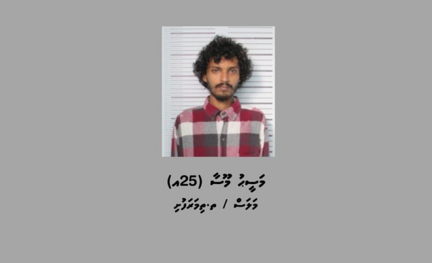 ސޯޝަލް މީޑިޔާގައި ރައީސްއަށް މަރުގެ އިންޒާރު ދިން މީހާ ހައްޔަރުކޮށްފި
