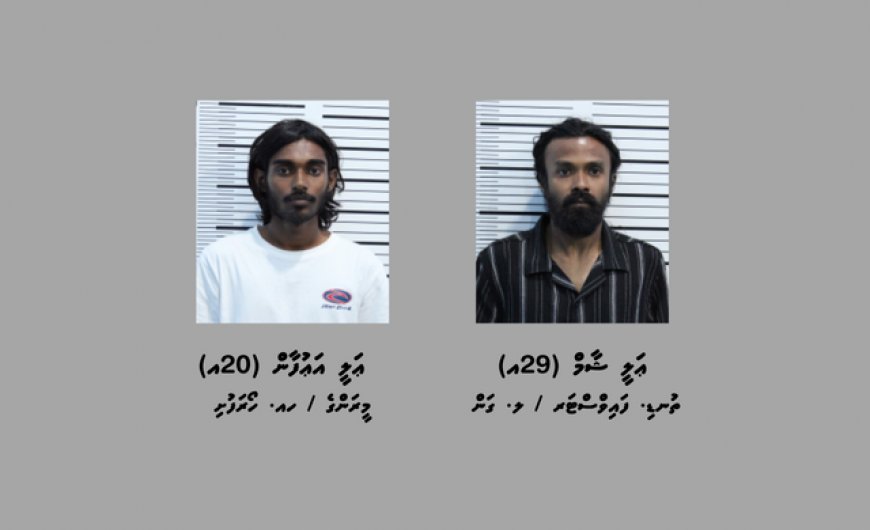 މަސްތުވާތަކެއްޗާ އެކު މާލެއިން ދެ މީހަކު ހައްޔަރުކޮށްފި