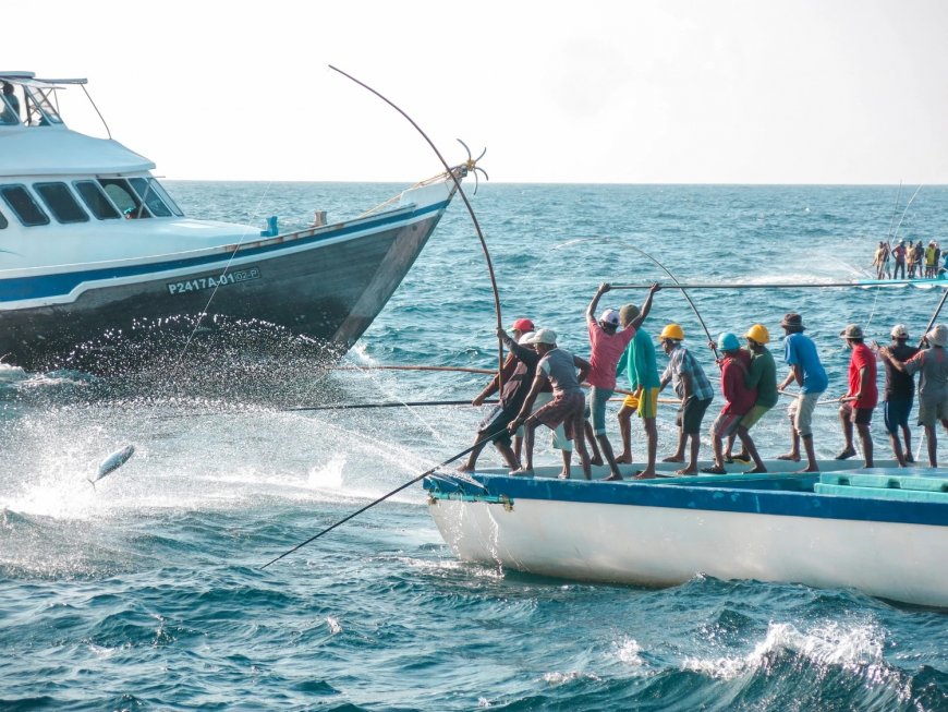25 މަސްވެރިއަކަށް ލޯނު ދޫކޮށްފި