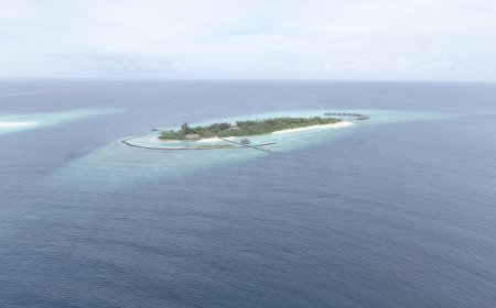 މިއަހަރުގެ އޮގަސްޓް މަހު ރާއްޖެ އައި ފަތުރުވެރިންގެ އަދަދު އިތުރު