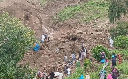 ބިންގަނޑު ކަނޑައިގެންގޮސް ހިނގި ހާދިސާއެއްގައި ސޫދާނުން 1000 އަށްވުރެ ގިނަ މަރު