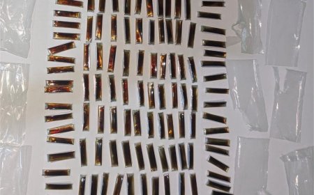 ތުޅާދޫއަށް އެތެރެކުރަން އުޅުނު މަސްތުވާތަކެތި އަތުލައިގެންފި